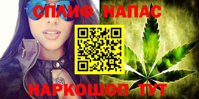 spice Ефремов
