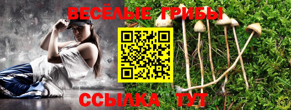 Галлюциногенные грибы GOLDEN TEACHER  Вход с VPN  Среднеуральск 